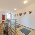 Retreat فيلة *