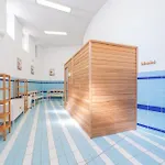 Retreat فيلة